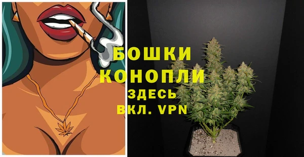 гидропоника Богданович