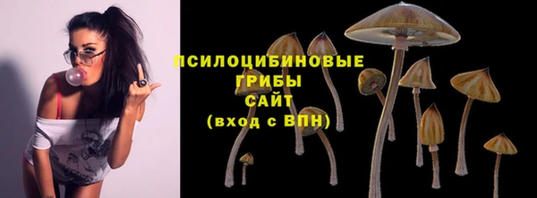 кристаллы Богородицк