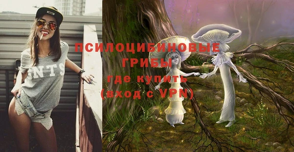 гидропоника Богородск
