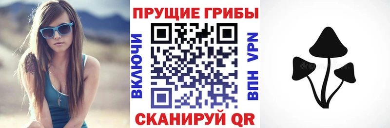 Галлюциногенные грибы прущие грибы  закладки  Бологое 
